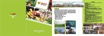 农副产品蔬菜市场折页