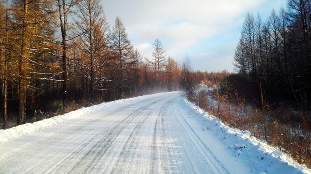 冬季森林公路