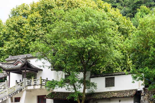 富春江风光