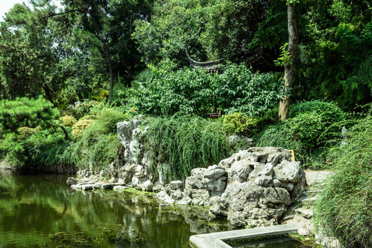瞻园园林景观