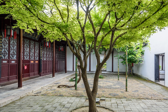 瞻园园林景观