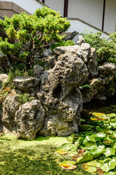 瞻园园林景观