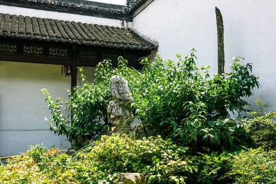 瞻园园林景观