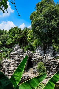 瞻园园林景观