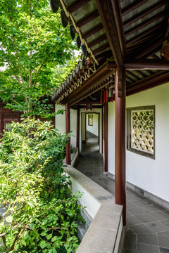 瞻园园林景观