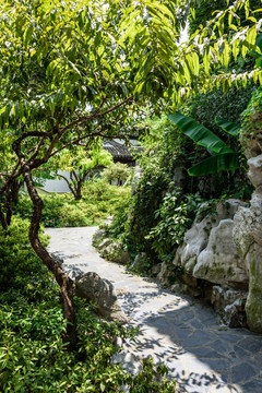 瞻园园林景观