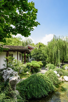 瞻园园林景观