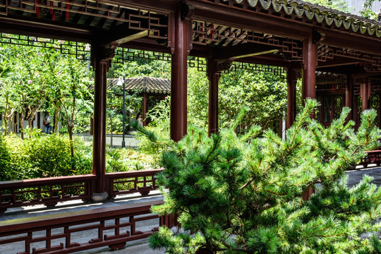 瞻园园林景观