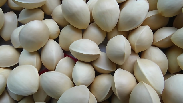白果 （1）