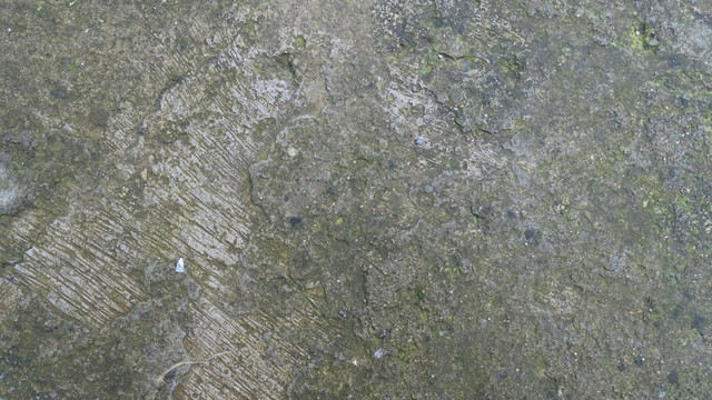 水泥墙