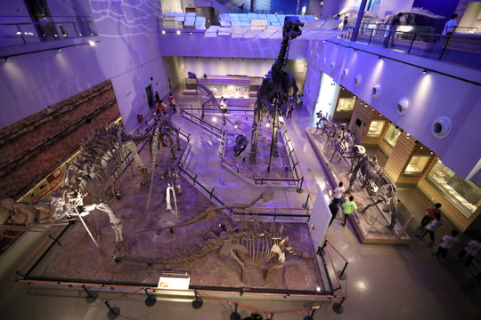 恐龙化石展览馆