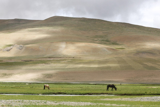 西藏阿里高原风光