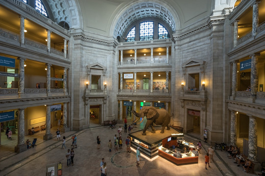 美国自然历史博物馆