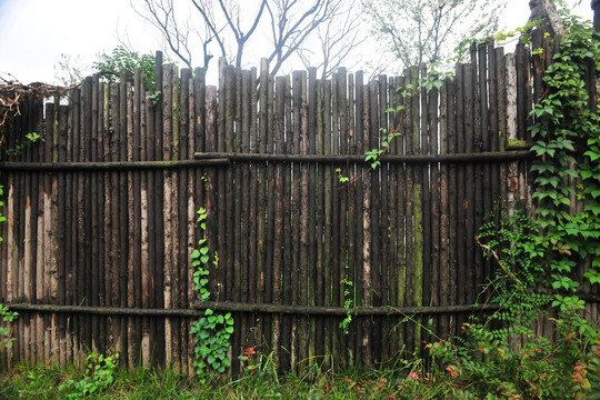 木桩围墙  树木围栏