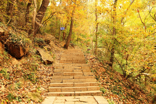 南京栖霞山