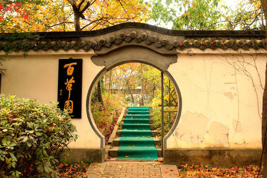 南京栖霞山