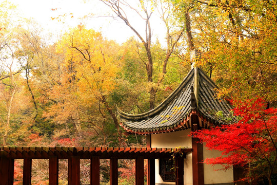 南京栖霞山