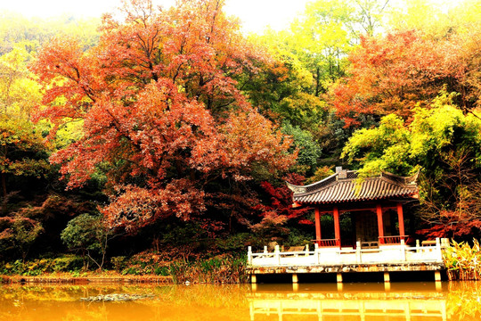 南京栖霞山