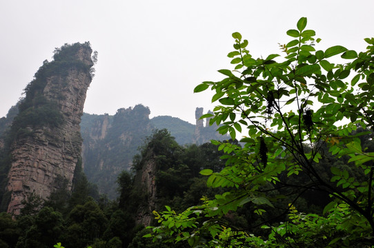 湖南省张家界风景山峰旅游景点