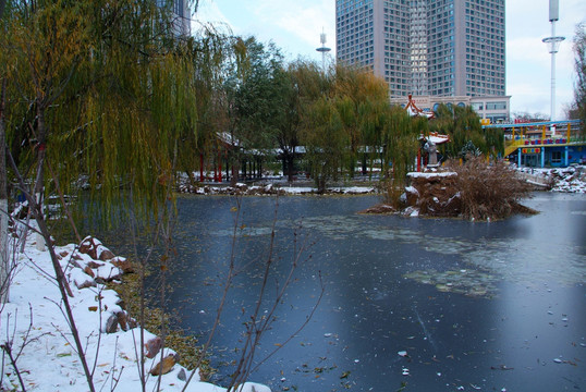 大连劳动公园荷花池雪景