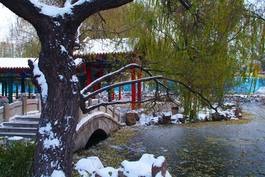 大连劳动公园荷花池雪景3