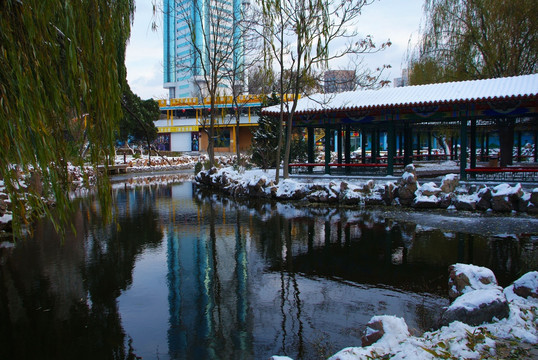 大连劳动公园荷花池雪景4