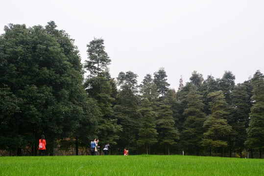 金沙遗址公园 游人