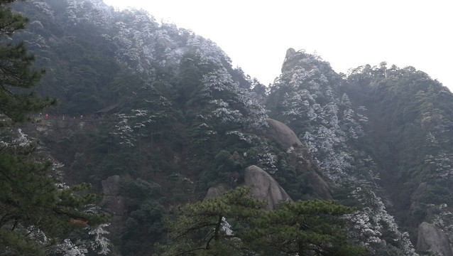 悬崖峭壁的积雪