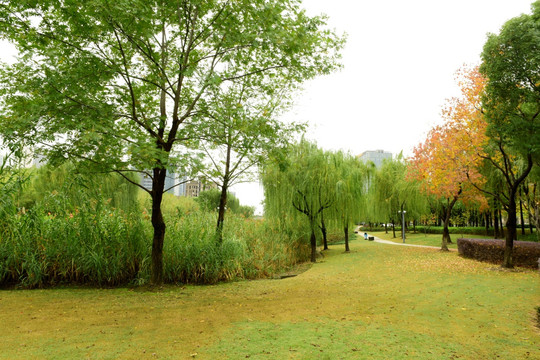 远香湖公园