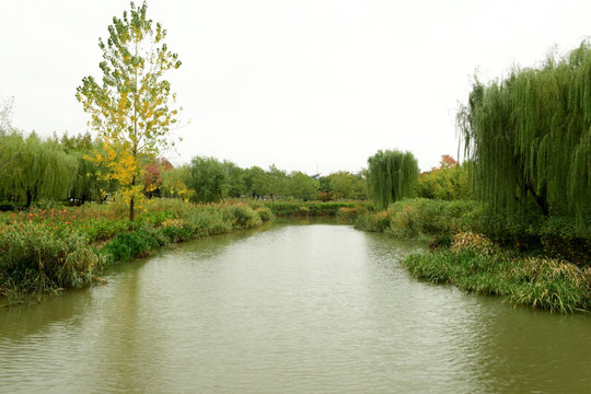 远香湖公园