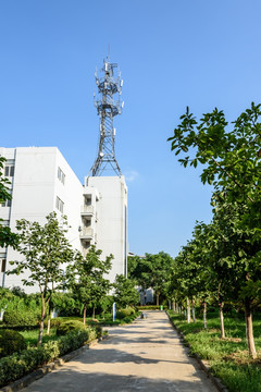 校园道路