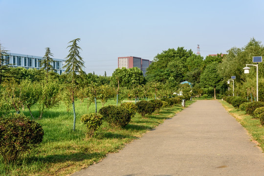 校园景观
