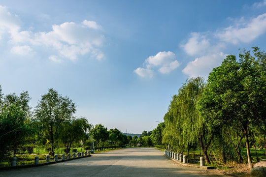 校园道路