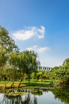 校园景观