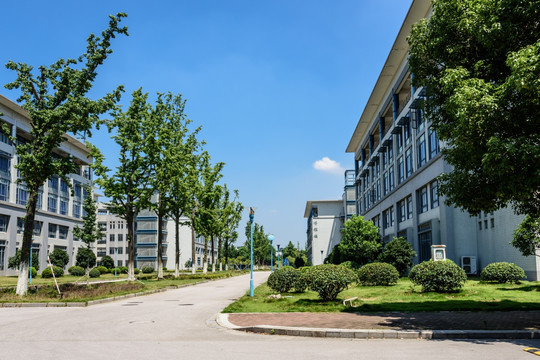 大学建筑