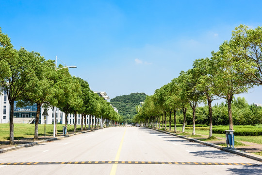 校园道路