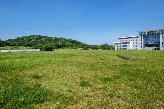 大学图书馆