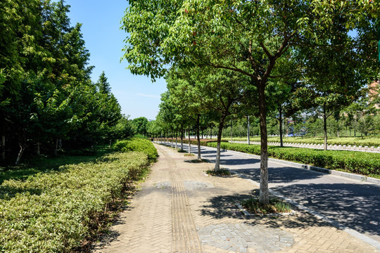 道路景观