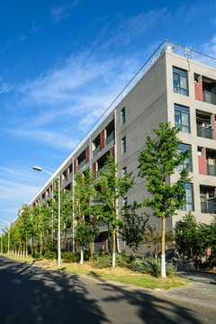 大学建筑景观