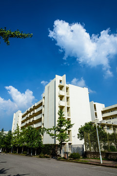 大学建筑楼