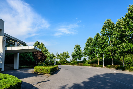 校园道路