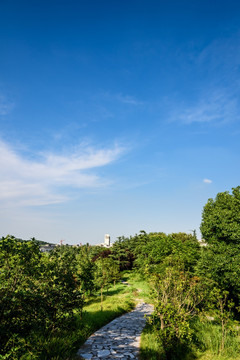 小山园林景观