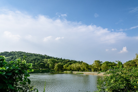 校区小湖