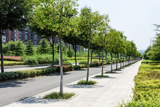城区道路