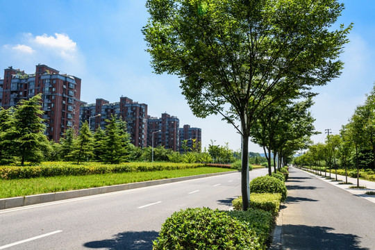城区道路