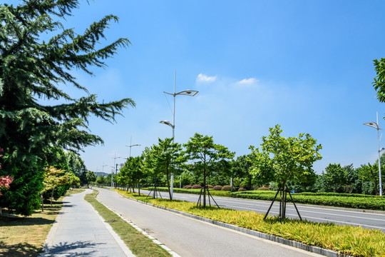 城区道路