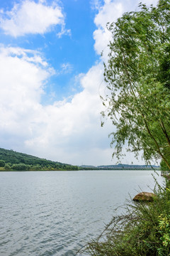 羊山湖水景