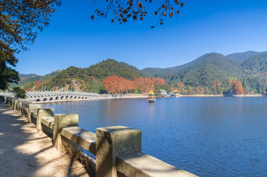 庐山芦林湖秋色