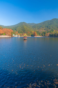 庐山芦林湖秋色