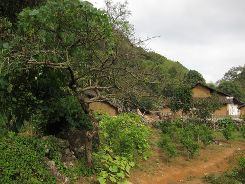 山区农村